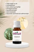 PROCLİS %100 Doğal Biberiye Yağı - Saf Biberiye Uçucu Yağı 10ml Sprey Başlıklı - 3