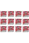 Ermiya Tablet Naftalin 100 gr X 5 Paket(LAVABOLARDA KULLANILMAZ) - 1