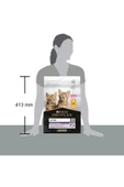 Pro Plan Original Kitten Tavuklu Yavru Kedi Maması 3 Kg thumbnail 5