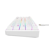 Havit Gamenote KB903L %60 Mekanik Blended Aydınlatma Oyuncu Klavyesi - 61 Tuş - Siyah - 7