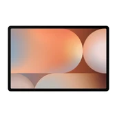 Samsung  Galaxy Tab S10+ 256  GB GRİ thumbnail 1