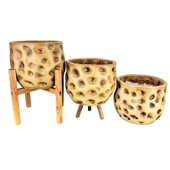 Bitki Tasarımı Ev Dekorasyon Aksesuar Naturel Desenli Toprak Saksı Saksılık Salon Çiçeklik Üçlü Set 19 CM - 4