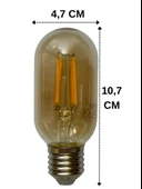 Heka 6W (48W) 2500K (Günışığı) E27 Duylu (Kalın Duy) Şeffaf Led Ampul thumbnail 2