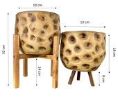 Bitki Tasarımı Ev Dekorasyon Aksesuar Naturel Desenli Toprak Saksı Saksılık Salon Çiçeklik İkili Set 4 Ayaklı - 3 Ayaklı 19 CM thumbnail 2