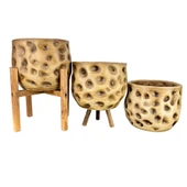 Bitki Tasarımı Ev Dekorasyon Aksesuar Naturel Desenli Toprak Saksı Saksılık Salon Çiçeklik Üçlü Set 19 CM - 3