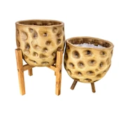 Bitki Tasarımı Ev Dekorasyon Aksesuar Naturel Desenli Toprak Saksı Saksılık Salon Çiçeklik İkili Set 4 Ayaklı - 3 Ayaklı 19 CM thumbnail 4