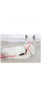 eshopinlock Kedi Göğüs Tasması Ve Gezdirme Seti Çiçekli Model Ayarlanabilir - 3