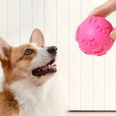 Köpek Isırma Topu Pati Desenli - 3