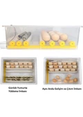 Efe Kuluçka Makineleri Kaz Yumurtası Uyumlu Kuluçka Makinesi - 4