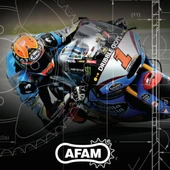 AFAM A520-116Xsr-g 2012-2018 Suzuki GW250 Inazuma Uyumlu Zincir Xsr-g Xring Gold (Sarı) Renk - 6