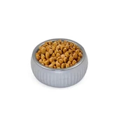 Mikopet Organik Seramik Mama Kabı Gri - 5