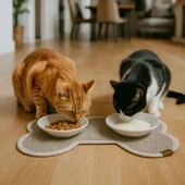 Kedi ve Köpek Mama Kabı Paspası - 3