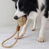 Mikopet Köpek Oyun Topu - 3