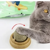 Kedi Nanesi Oyun Topu - 3