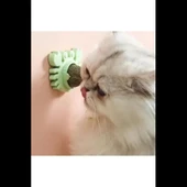 Yengeç Kedi Otu Oyun Topu - 1