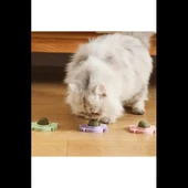 Yengeç Kedi Otu Oyun Topu - 2