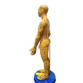 Akupunktur Eğitim İçin  İnsan Maketi - 1