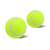 Köpek Oyun Topu Tenis Topu - 2