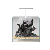 Jeneca ZJ-20 Akvaryum+Dekor 20x20x25 Cm (10L) - 1