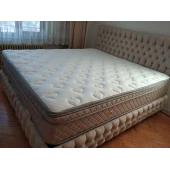 Zarif Seti Baza ve Başlık - 1