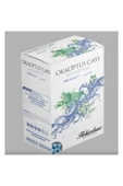 OKALİPTUS KÜP ÇAY 170 GR - 1