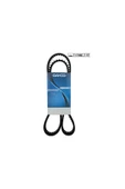 DAYCO TRİGER KAYIŞI 150x230 150 DİŞ GOLF IV-BORA-CORDOBA-A3-A6-OCTAVIA 1.8 5491XS RSZYN - 1