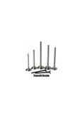 Yeksan Subap Takımı 8v Renault-clıo-kango-8v-1.5cc-dıesel 33.5x6x101-29x6x100.8 27053 - 1