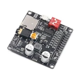 Magıcvoıce DY-HV20T 30 Watt SD Kart Mp3 Ses Çalma Modülü - 1