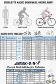 BİSAN 8500 TREKKİNG BİSİKLETİ 54 CM HİDROLİK DİSK 28 JANT 27 VİTES MAT KIRMIZI SİYAH - 2