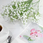 Uzun Dal Yapay Çiçek Plastik Beyaz Cipso 4Dallı 63cm thumbnail 4