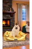 PATİTEX Özel Seri Gold Yatak- Kedi Yatak- Köpek Yatak - Lux Yatak- Minderli Yatak (M Beden ) - 1