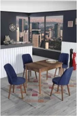 Kaktüs Avm 4 Kişilik Sabit Masa Sandalye Takımı 70x110 Cm Mutfak Masası Takımı Yemek Masası Masa Takımı - 2