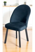 Kaktüs Avm Ritim Sandalye Metal Ayaklı Lüks - 2