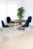 Kaktüs Avm Monera Ceviz 80 x 132 Açılabilen MDF Masa Metal Ayaklı Mutfak Masası Takımı 4 Lacivert Sandalye thumbnail 1