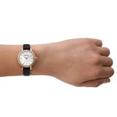 Emporio Armani AR11598 Kadın Kol Saati thumbnail 4