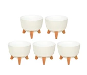 Omnipazar ELF-495 Dekoratif Ayaklı Nostalji Saksı 5 lt Beyaz 5 Adet - 1