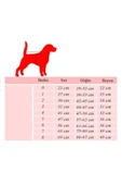 Alphadog Dino Küçük Irk Köpek T-shirtü - 2