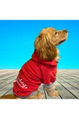 Alphadog Leader Red Orta-büyük Irk Köpek Sweatshirtü - 1