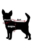 Alphadog Kisses Orange Köpek T-shirtü (2 KG-6 KG ARASINA UYGUN BEDENLERDE) - 3