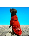 Alphadog Leader Red Orta-büyük Irk Köpek Sweatshirtü - 2