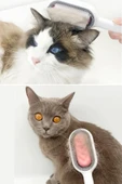 Su Hazneli Kedi ve Köpek Tüyü Toplamama Fırçası Su Hazneli Pet Tarağı thumbnail 8
