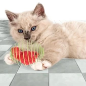 Yaylı Metal Fareli Kafes Kedi Oyun Topu Sıçrayan Spiral Kedi Topu thumbnail 4