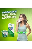 Pınar Denge Laktozsuz Süt 500 ml x 12'li - 4