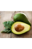 tropikya Avokado (5 Adet) - 1