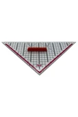 Artus Tedarik Geoderik Üçgen Cetvel Gemici Cetveli Tekstil Cetveli Modelist Cetveli 32 cm - 1