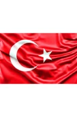 Temat Bayrak 150*225 Cm - 1