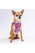 Pawstar Rosea Camouflage Air-mesh Kedi Köpek Göğüs Tasması - 7
