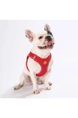 Pawstar Kırmızı Air-mesh Göğüs Tasması Kedi Köpek Göğüs Tasması - 3