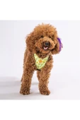Pawstar Avocado Air-mesh Göğüs Tasması Kedi Köpek Göğüs Tasması - 5