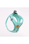 Pawstar Mint Air-mesh Göğüs Tasması Kedi Köpek Göğüs Tasması - 1